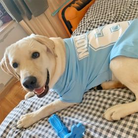 Summer Dog Thin Pet Clothing Vest (Option: 68Tshirt Sky Blue-S)