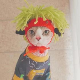 Punk Cat Hat Funny Rock Decoration (Option: Green Hair Punk Hat-S)