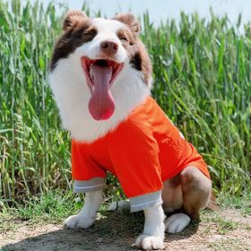 Summer Dog Thin Pet Clothing Vest (Option: 23Orange-3XL)